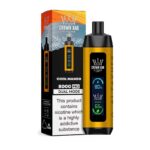 Alfakher 8000 Pro Cool Mango Disposable Vape