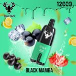 Kalyan pro Black Mamba12000 Puffs Disposable Vape
