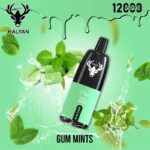 Kalyan pro Gum Mint 12000 Puffs Disposable Vape