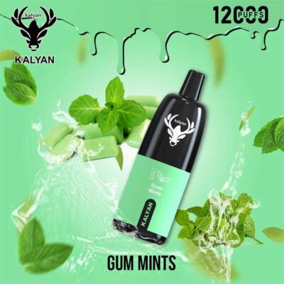 Kalyan pro Gum Mint 12000 Puffs Disposable Vape