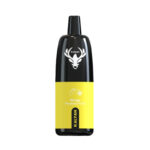 Kalyan Pro Mango Passionfruit 12000 Puffs Disposable Vape