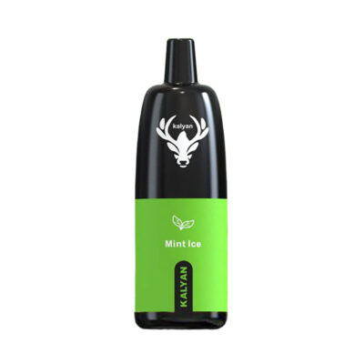 Kalyan Pro Mint Ice 12000 Puffs Disposable Vape