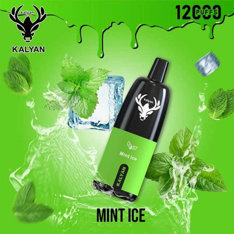 Kalyan pro Mint Ice 12000 Puffs Disposable Vape