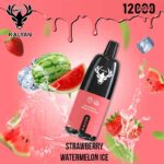 Kalyan pro Strawberry Watermelon Ice 12000 Puffs Disposable Vape