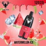 Kalyan pro Watermelon Ice 12000 Puffs Disposable Vape