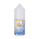 Tokyo Berries Salt Nicotine E-liquid Ocean Series 30ML
