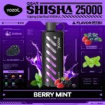 vozol Gear Shisha Berry Mint 25000 Puffs Disposable Vape Uae