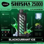 vozol Gear Shisha Blackcurrant Ice 25000 Puffs Disposable Vape Uae