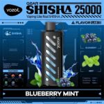 vozol Gear Shisha Blueberry Mint 25000 Puffs Disposable Vape Uae