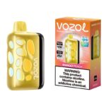 Vozol Rave 40000 Puffs Mango Peach Disposable Vape