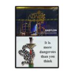 Adalya Babylon Shisha Flavour | WorldVapeAe Best Shisha Shop Online With Fast Delivery