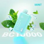 Elfbar BC10000 Puffs Mint Disposable Vape Uae | Worldvape Uae