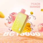 Elfbar BC10000 Puffs Peach Mango Disposable Vape Uae | Worldvape Uae