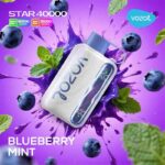 Vozol Star 40000 Puffs Blueberry Mint 50mg Disposable Vape At Dubai Vape Shop Near me WorldVape Uae