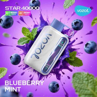 Vozol Star 40000 Puffs Blueberry Mint 50mg Disposable Vape At Dubai Vape Shop Near me WorldVape Uae