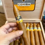 Cohiba Piramides Extra Box of 10 Cuban Cigar , Cohiba Cigar Uae , Buy Cohiba Cigar
