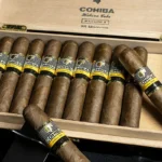 Cohiba Maduro 5 magicos Box of 25 Cuban Cigar in Dubai , Cigar Shop Dubai , Buy Cigar Online At World Vape Uae