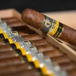 Cohiba mmaduro 5 Magicos cuban cigar in dubar