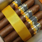 Cohiba Robustos Cuban cigar Online delivery , Cohiba Rubustos in dubai cigar shop