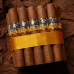 Buy Cohiba Robustos in Abudhabi and Uae , Original Cohiba Cigars