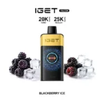 Iget Falcon 25000 Puffs Blackberry Ice Disposable Vape Dubai , Vape Shop Near Me Ajman