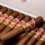 Romeo y Julieta Short Churchills Cuban Cigar - Image 4