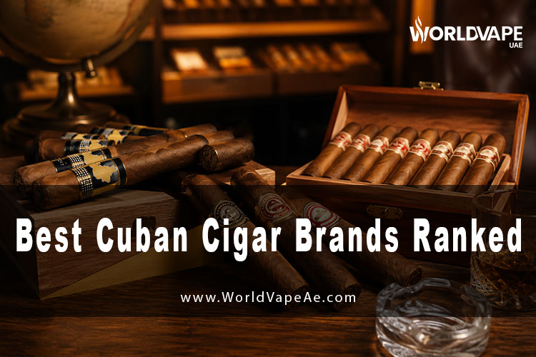 Best Cuban Cigar Brands Ranked