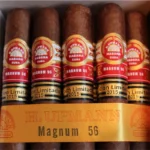 Authentic H. Upmann Magnum 56 Cuban Cigar for Sale in Dubai , Magnum 56 Edición Limitada 2015
