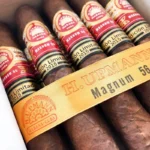 Premium H. Upmann Magnum 56 Cigar Shop Dubai – Authentic Cuban Cigars , Magnum 56 Edición Limitada 2015
