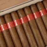 Partagas Serie D no 4 , Cigar Online Dubai , Cigar Shop Near me , Dubai Cigars , Cigar shop with delivery , Cigar Dubai , Cuban Cigar uae