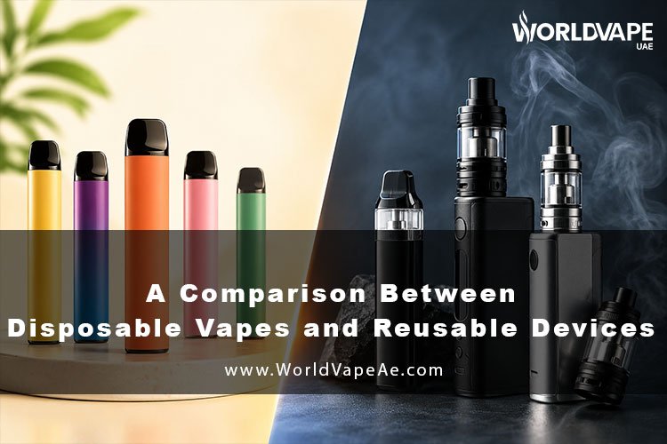 A Comparison Between Disposable Vapes and Reusable Devices