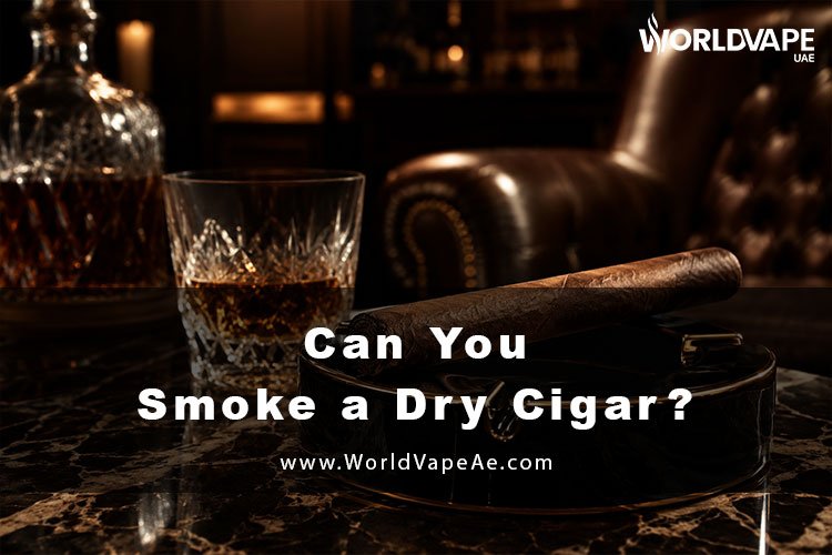 Can You Smoke a Dry Cigar?