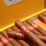 Partagas Lusitanias Cuban Cigar - Image 7